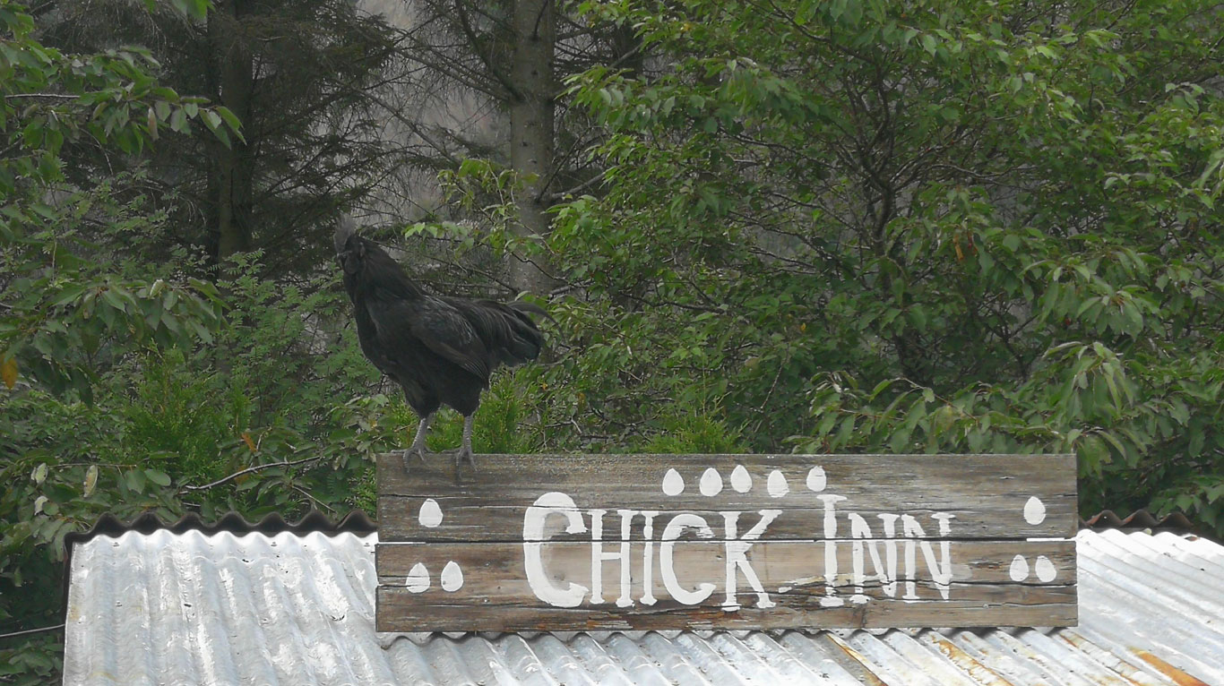 Chicken farm in Åna-Sira, near Brufjell